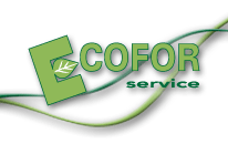 Ecofor Service S.p.A.